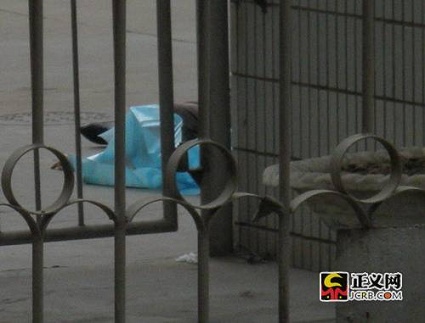 ͣ���ڼҌ�Ժ��(n��i)��ʬ�w