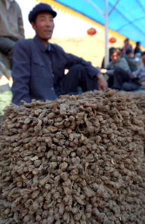 �D�ģ�������ݣ��������Cếh��ǧ�d��(d��ng)�w׃����ɽ��